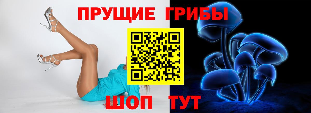 Псилоцибиновые грибы GOLDEN TEACHER  Вход с VPN  Ростов Великий  Псилоцибиновые грибы Psilocybine cubensis 